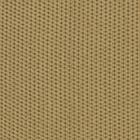 Fendertex Beige color swatch