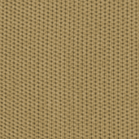 Fendertex Beige color swatch