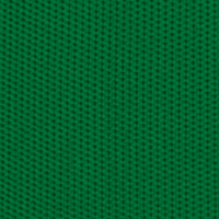 Fendertex Green color swatch