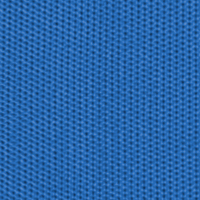 Fendertex Royal Blue color swatch